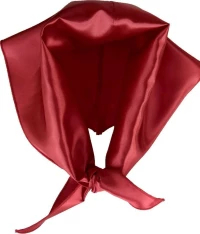 ΦΟΥΛΑΡΙ ΠΑΡΕΛΑΣΗΣ ΤΡΙΓΩΝΟ ΣΑΤΕΝ MARK672 BURGUNDY