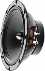 Focal Auditor R-165S2