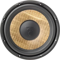 Focal P 25FSE 250MM / 560W Slim