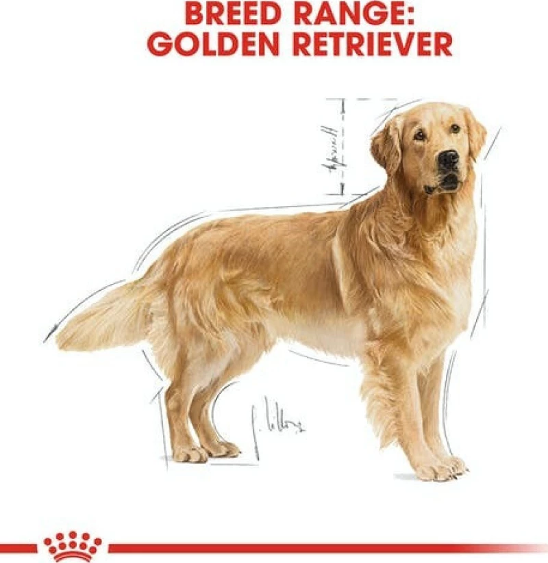 Royal Canin Golden Retriever Adult 12kg