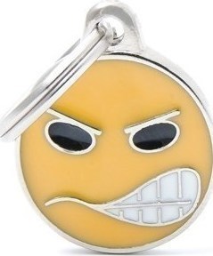 ΤΑΥΤΟΤΗΤΑ CHARMS EMOTICON ANGRY ..