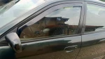Heko Σετ Ανεμοθραύστες Μπροστινοί για Mitsubishi Galant 5D 1997-2003 2τμχ