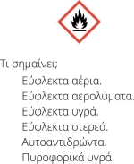 Holchem Υγρό Απολυμαντικό Antibakt 4lt