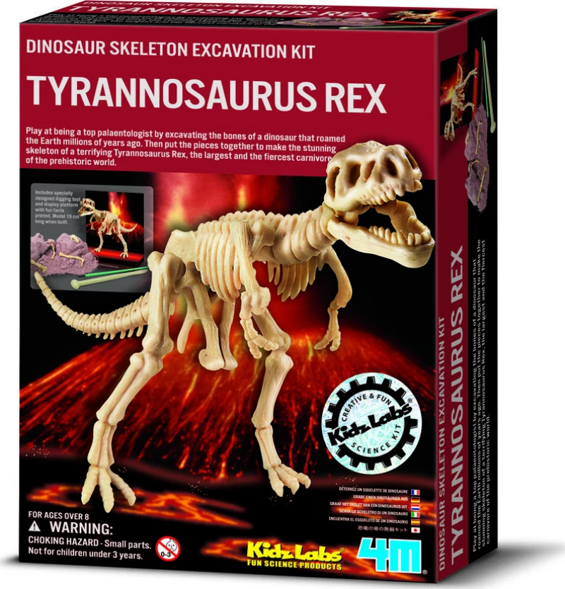 4M Ανασκαφή Τυραννόσαυρος REX
