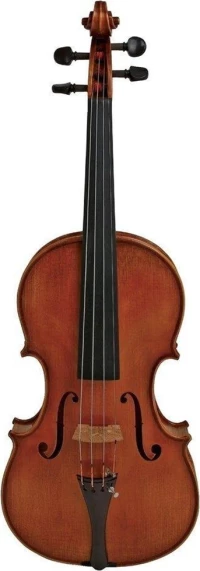 Gewa Master Drechsler Concert (Set-up)
