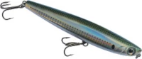 DTD Dog SARDINA