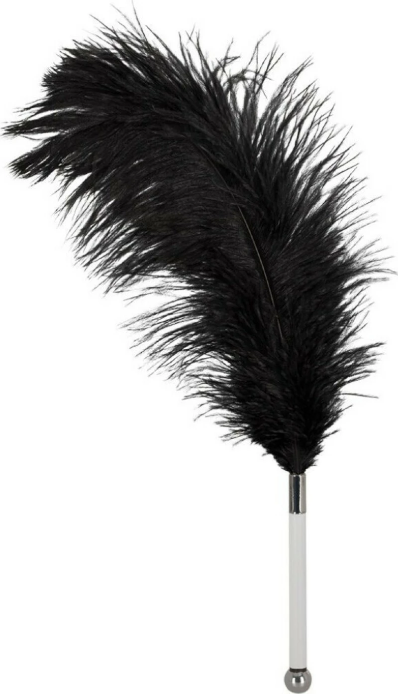 You2Toys Bad Kitty Black Feather Teaser Black