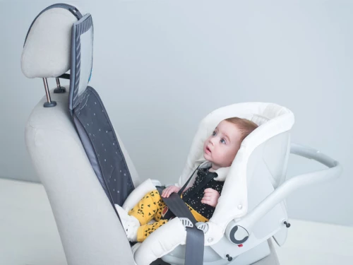 Taf Toys 3 in 1