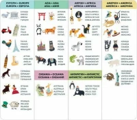 As Company Μαγνητικός Παγκόσμιος Χάρτης