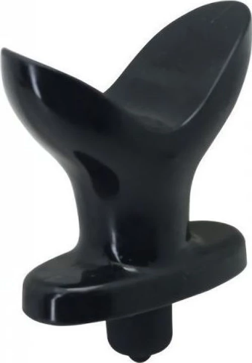 Timeless anal elettroanchor