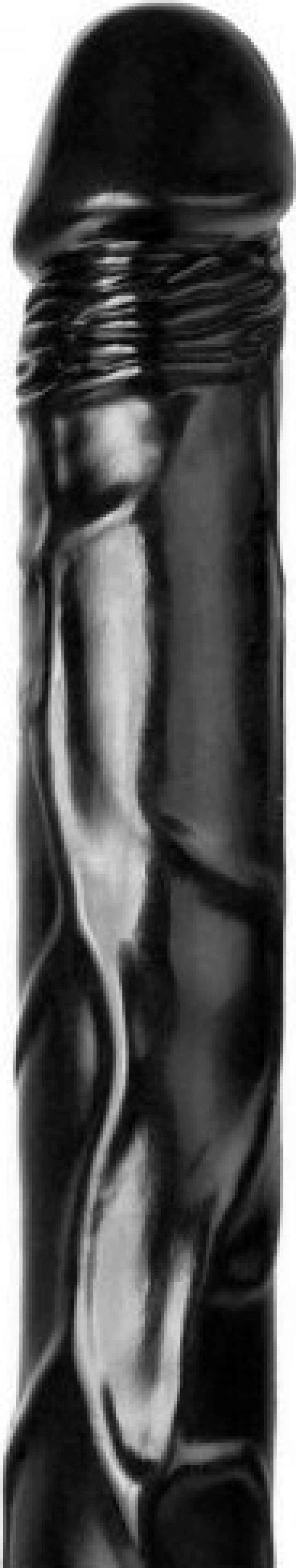 Blush Jet Long Dildo 48cm Black