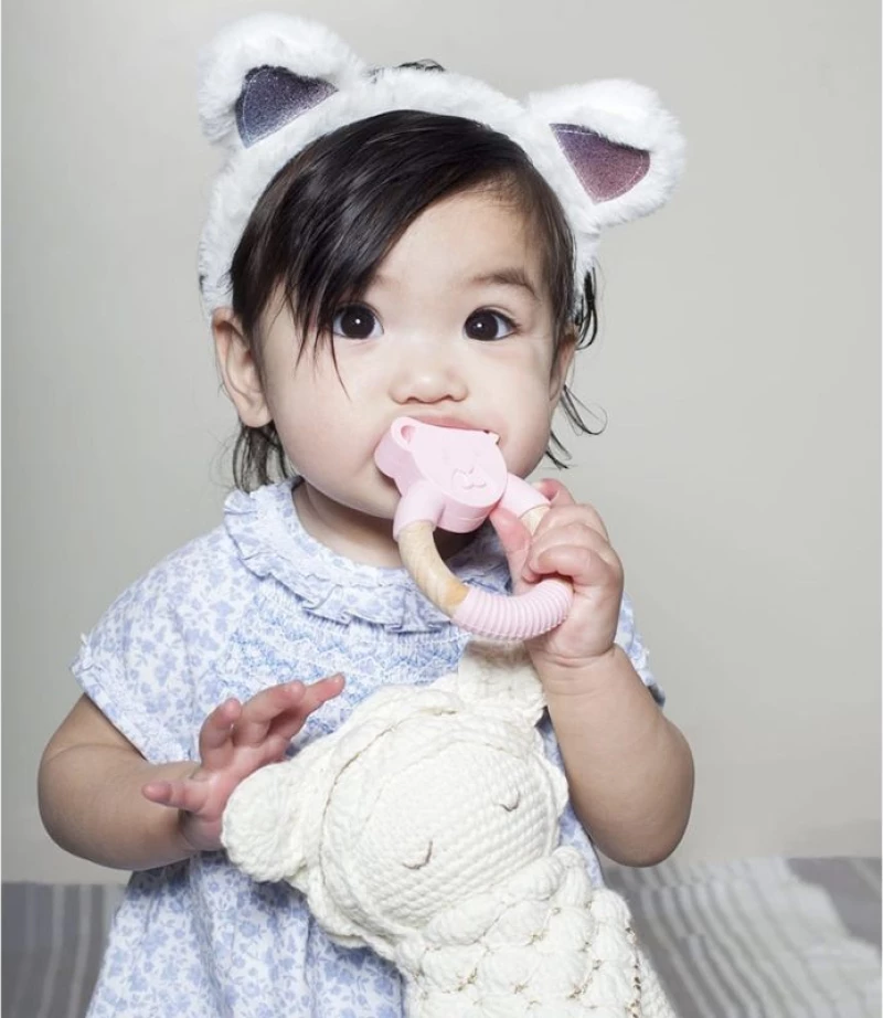 Nibbling Ted Bear Pink 3+ μηνών