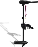 Ηλεκτρική Εξωλέμβια Μηχανή P22 46 lbs 1495 κ.