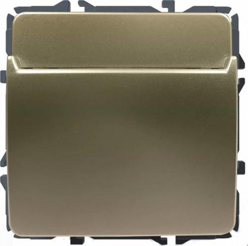 Acaelec Prime Καρτοδιακόπτης Μηχανικός Ματ Σαμπανιζέ (1000117004)