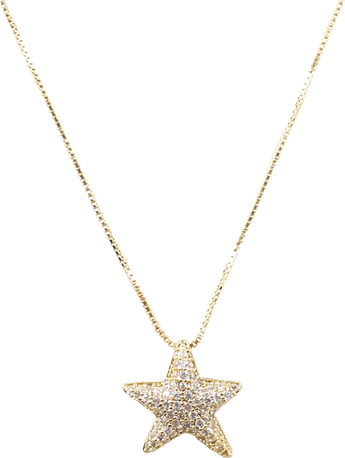 Κολιέ Απο Ατσάλι Star Gold B1000-115