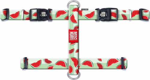 ΕΠΙΣΤΗΘΙΟ ΣΚΥΛΟΥ MAX + MOLLY WATERMELON - MEDIUM
