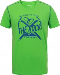 Ανδρικό T-shirt Icepeak Dickson Emerald / Emerald / IP-57744-689I-530_1