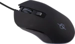 Lamtech 4 IN 1 Αγγλικό US