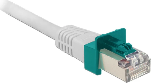 DeLock RJ45 Secure Clip 40τμχ