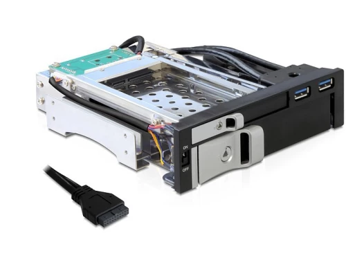 DeLock 5.25 Mobile Rack 47209