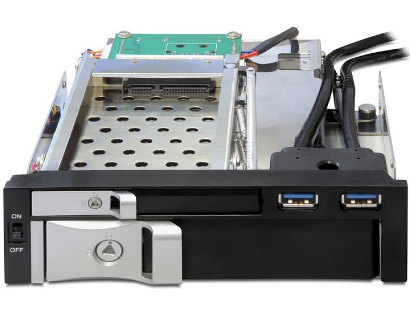 DeLock 5.25 Mobile Rack 47209