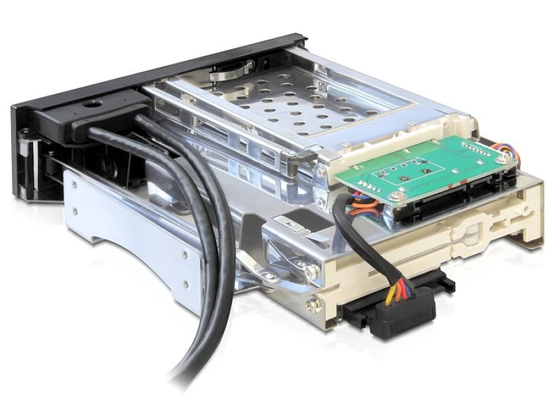 DeLock 5.25 Mobile Rack 47209