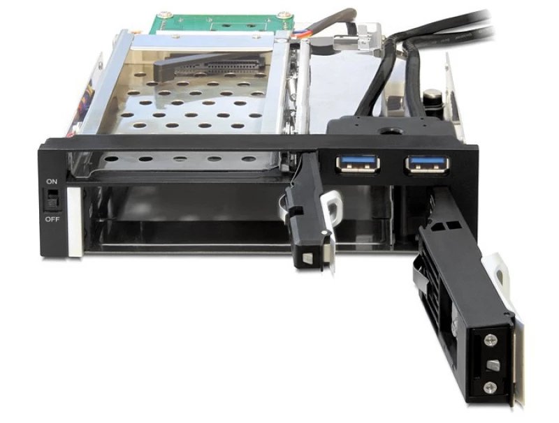 DeLock 5.25 Mobile Rack 47209