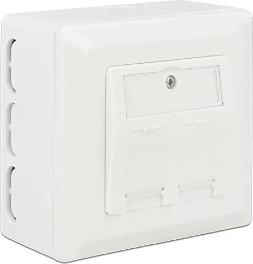 DeLock Back Box for Keystone