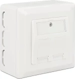 DeLock Back Box for Keystone