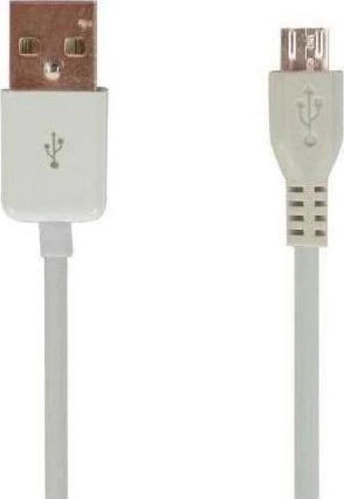 Καλώδιο Για Psvita 2000 Microusb 1M Λευκό (Oem)