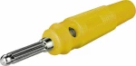 Banana male Yellow (08.008.0030)