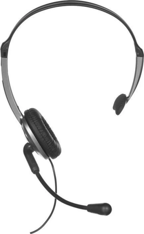 Panasonic Headset RP-TCA430E-S Ασημί