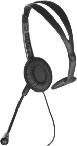 Panasonic Headset RP-TCA430E-S Ασημί
