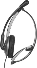 Panasonic Headset RP-TCA430E-S Ασημί