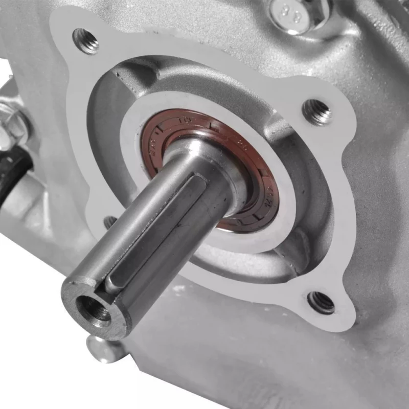 vidaXL Κινητήρας Βενζίνης 6.5hp Βενζινοκινητήρας 4,8 kW 141246