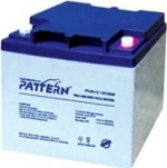Μπαταρια Μολυβδου Βαθιας Εκφορτισης 12V/40Ah Pt40-12 Ptn