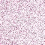 Polyvine Χρώμα Τεχνοτροπίας Glitter Paint Maker 0.075kg Ροζ