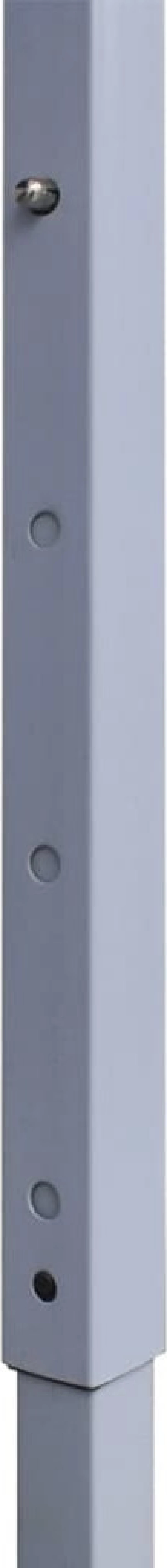 vidaXL Κιόσκι Πτυσσόμενο 2x2m