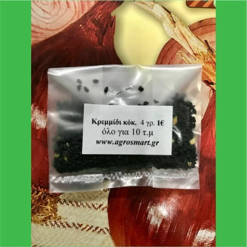 Κρεμμύδι κόκκινο 4 γρ.