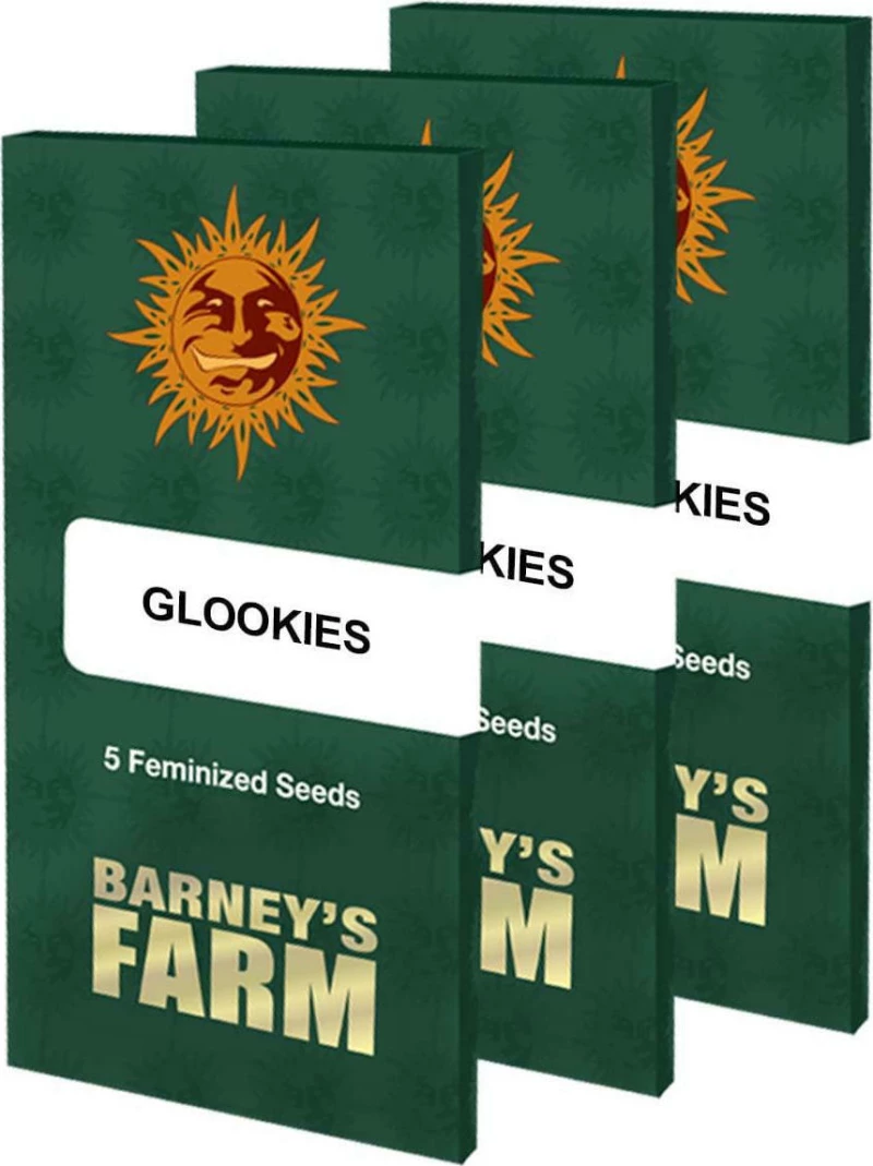 Barneys - Glookies - 1 seed