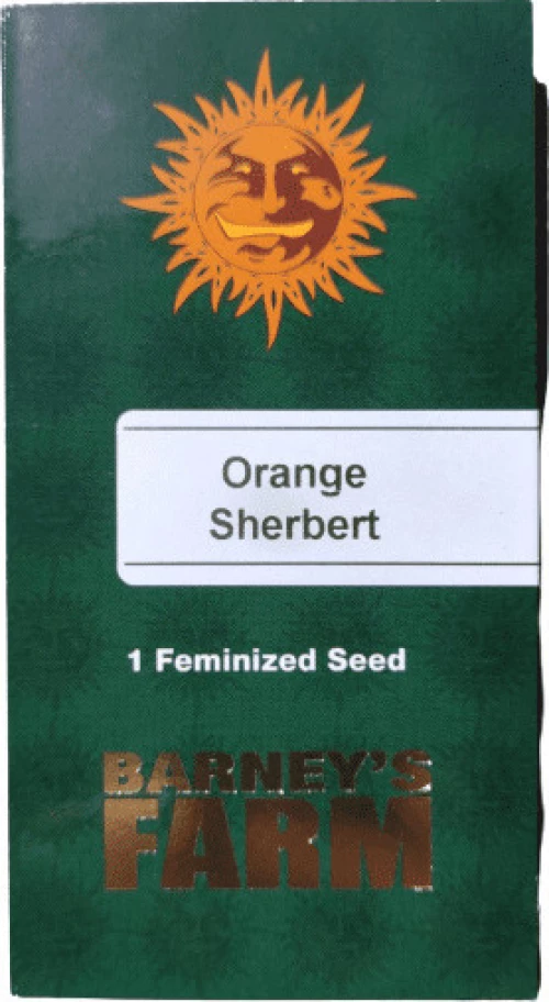 Barneys - Orange Sherbert - 1 seed