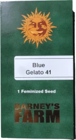 Barneys Farm -BLUE GELATO 41- 1 seed