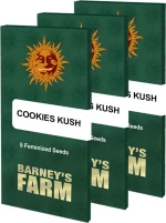 Barneys - Cookies Kush - 1 seed