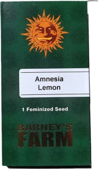 Barneys Farm - Amnesia Lemon - 1 seed
