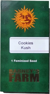 Barneys - Critical Kush - 1 seed