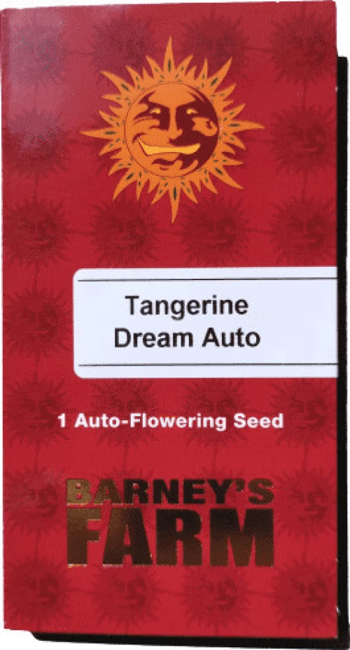 Barneys Farm - Tangerine Dream - 1 seed