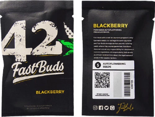 Fast Buds - Blackberry - 5 seeds