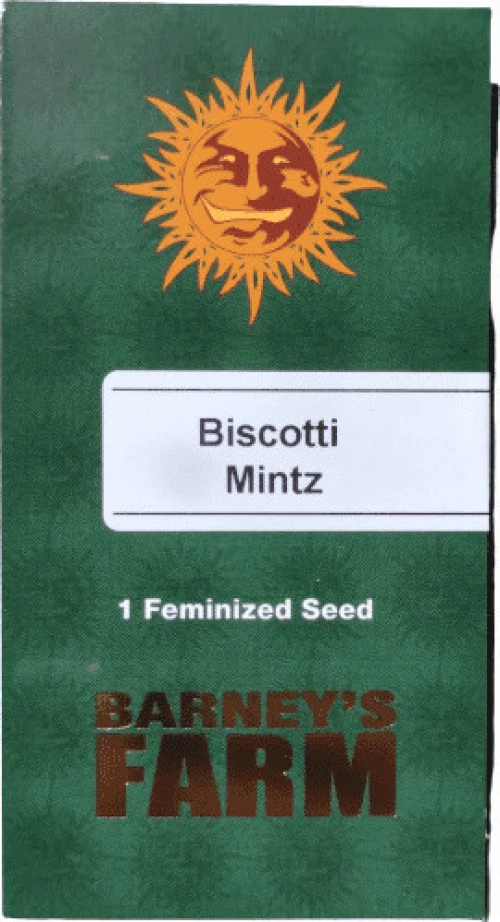Barneys - Biscotti Mintz - 1 seed