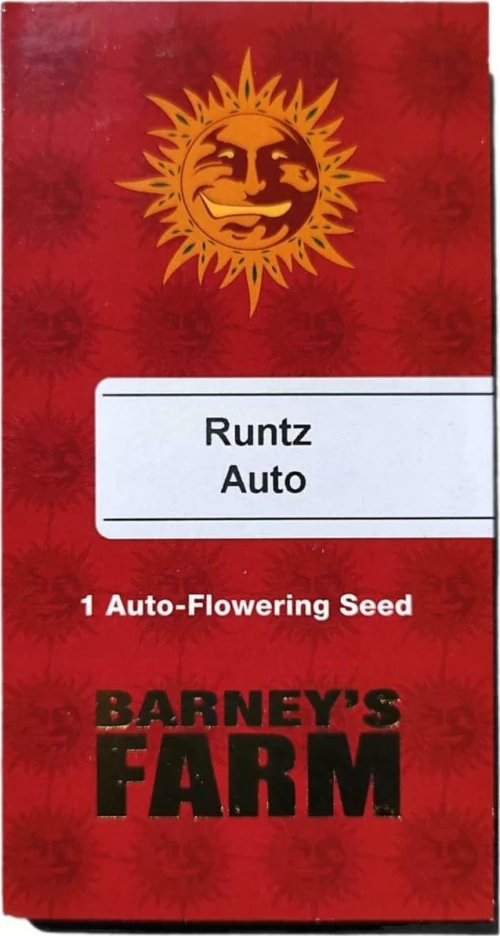 Barneys - Runtz Auto - 1 seed