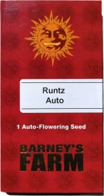 Barneys - Runtz Auto - 1 seed